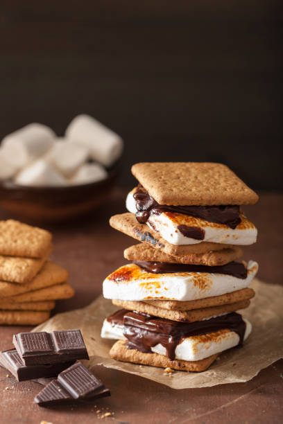 istock homemade marshmallow s'mores with chocolate on crackers 1049820216