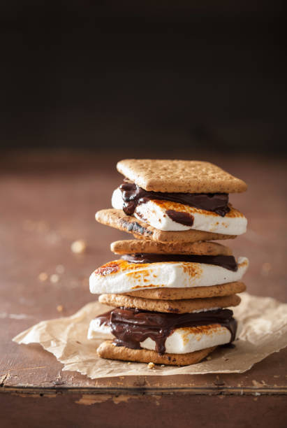 homemade marshmallow s'mores with chocolate on crackers homemade marshmallow s'mores with chocolate on crackers smore photos stock pictures, royalty-free photos & images