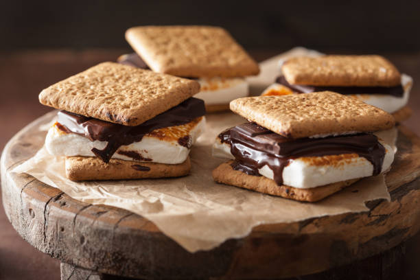 istock homemade marshmallow s'mores with chocolate on crackers 1049820874