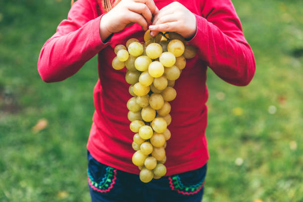 young girl holding fresh green grapes