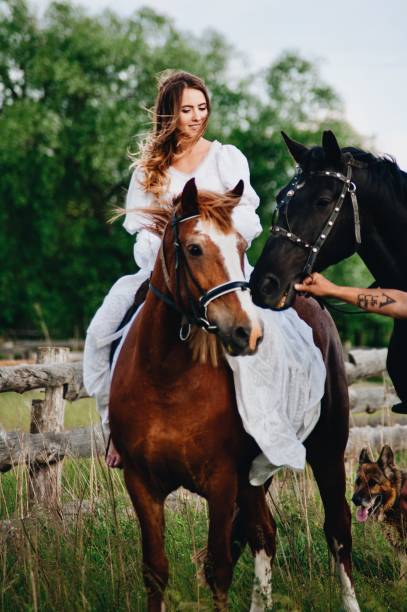 istock Woman Sitting On Horse Against Tree 1049820938
