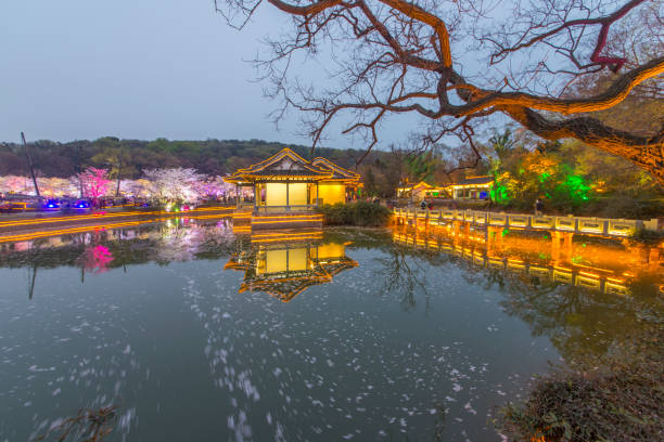 istock China Wuxi ancient architecture lake night 1049823248
