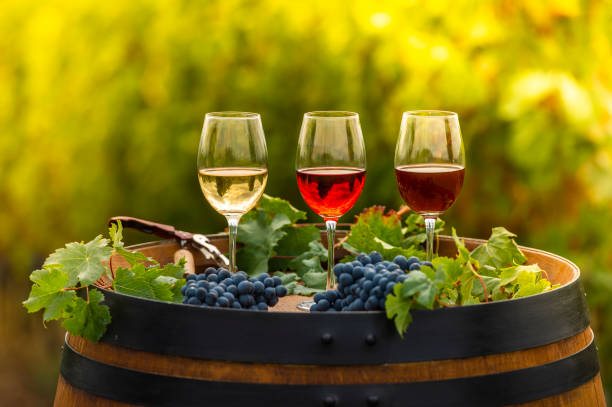 verser le vin rouge dans le verre, baril en plein air dans le vignoble bordelais - bottle bordeaux green wine photos et images de collection