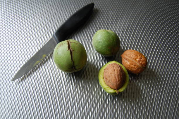 istock Walnuts and a knife are lieing on a kitchencounter. 1049823878