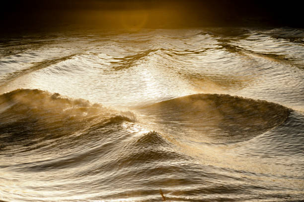 mascaret, close-up impresionante rastro ondulado en garona al atardecer - backwash fotografías e imágenes de stock