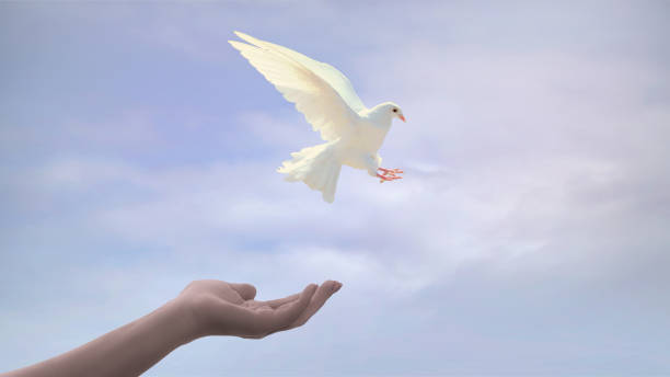 istock A pigeon flying out of a hand 1049826536