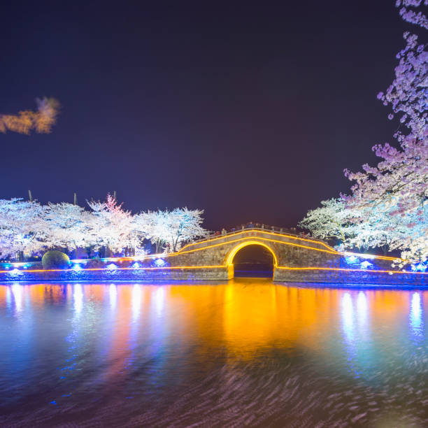 istock China Wuxi ancient architecture lake night 1049827538
