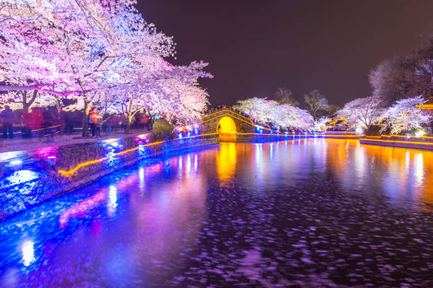 istock China Wuxi ancient architecture lake night 1049827652