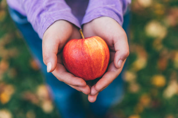 istock young girl holds in hands fresh apple 1049831450
