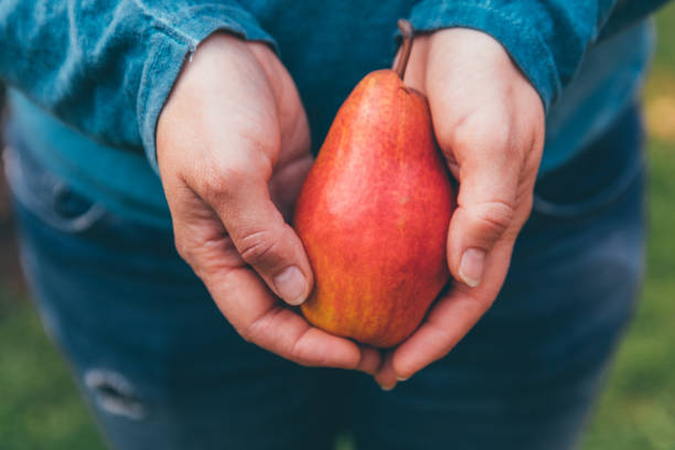 istock woman holds in hands fresh apple 1049831592