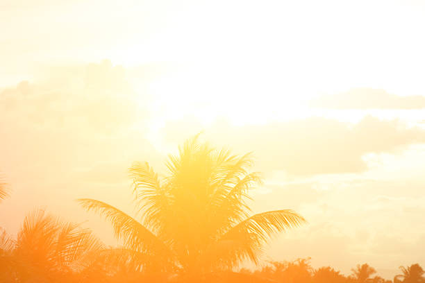 istock Beautiful light from the nature at sunset every day. 1049831878