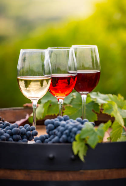 verser le vin rouge dans le verre, baril en plein air dans le vignoble bordelais - bottle bordeaux green wine photos et images de collection