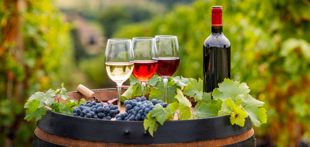 despejando o vidro, barril ao ar livre em bordeaux vinha de vinho tinto - bottle bordeaux green wine - fotografias e filmes do acervo
