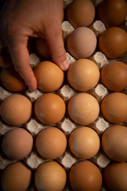 istock Brown eggs in carton box, Broken egg with yolk in background 1049837066