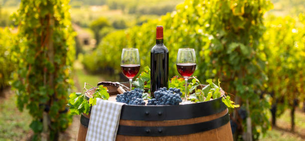 заливка красного вина в стакан, баррель на открытом воздухе в бордо виноградник - виноградовые фотографии стоковые фото и изображения