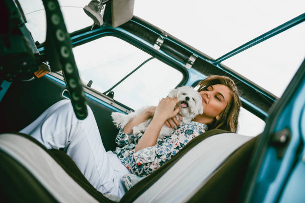 istock Enjoying My New Car With My Old Pet 1049837214