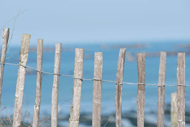 istock A fence on the beach somewhere by the sea 1049844864