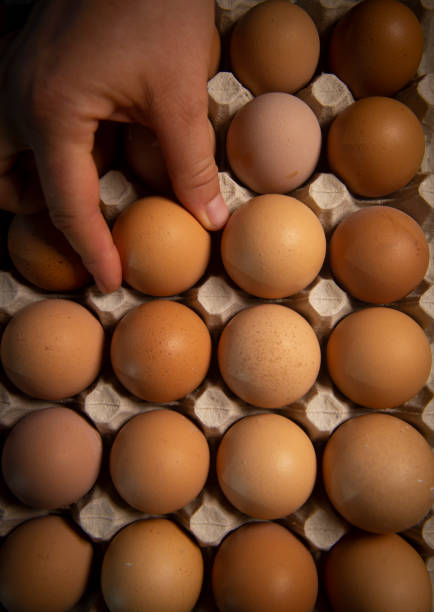 istock Brown eggs in carton box, Broken egg with yolk in background 1049845418