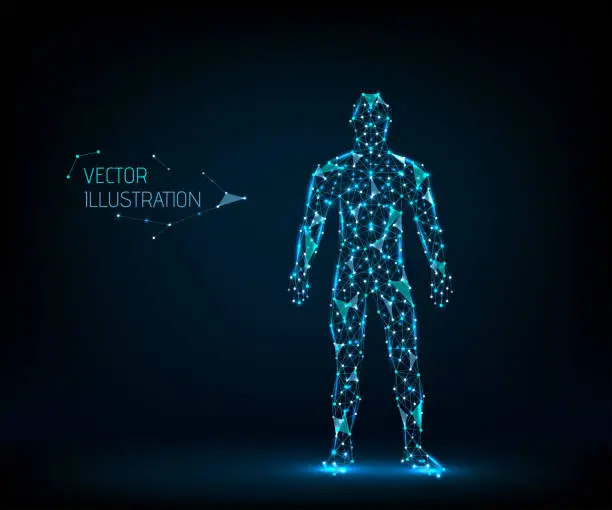 Vector illustration of Man abstract. Human body low poly wireframe.