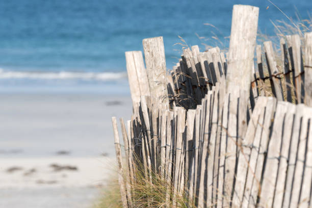 istock A fence on the beach 1049850286