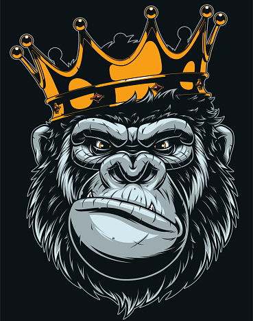 Vector illustration, ferocious gorilla head on with crown, on black background.