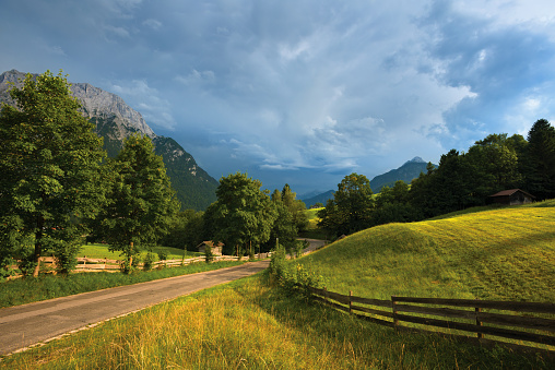 Country road passing by fenced grass field in Alps