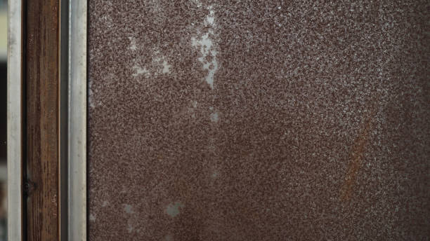 istock Closeup of metal surface with rusty texture in brown color 1049870288