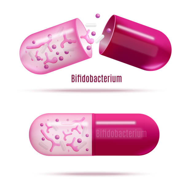 illustrations, cliparts, dessins animés et icônes de médicaments avec vecteur réaliste de bactéries probiotiques - pink pill