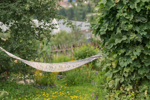 Summer landscape.  White Rope Hammock hanging in garden among the trees.