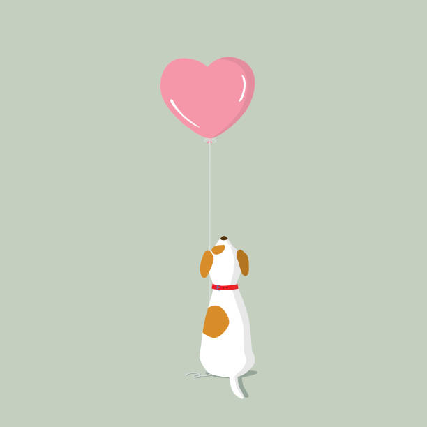 Jack Russell Terrier puppy with pink heart shape helium balloon rear view of a Jack Russell Terrier puppy looking up at the pink heart shape balloon attached illustrations stock illustrations