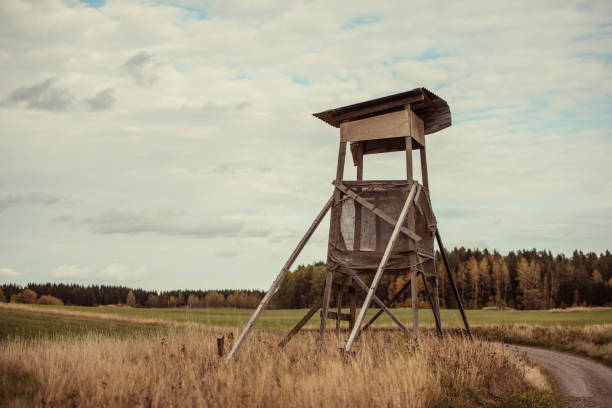 Hunting lookout tower in nature\nPhoto taken in autumn in Sweden.