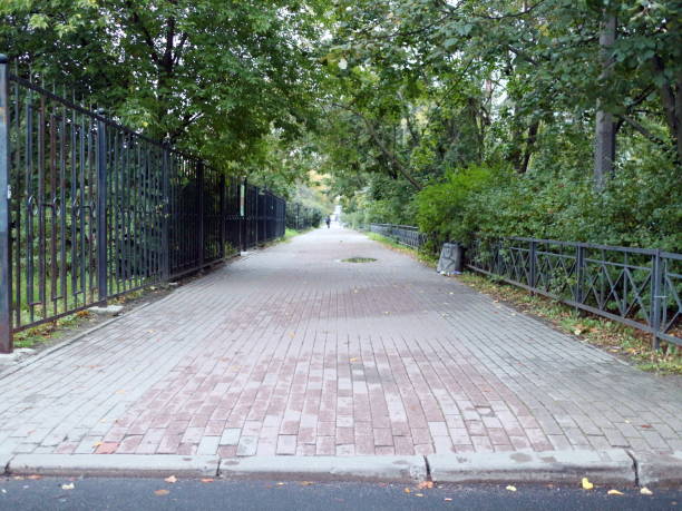 istock walking path of the road tile among the trees 1049876626
