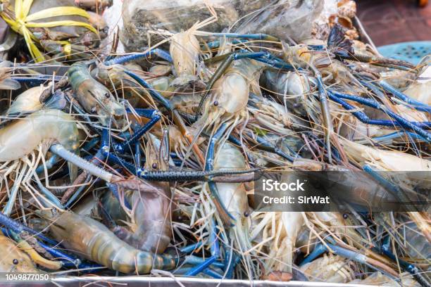 Giant Freshwater Prawn In The Seafood Market Stock Photo - Download Image  Now - Animal, Animal Shell, Catch of Fish - iStock