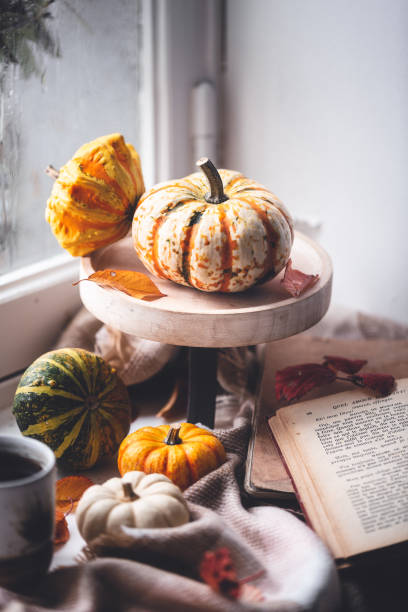 istock Autumn Background with a Cup of Tea, Books and a Plaid 1049877294