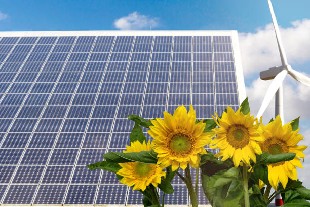 istock rooftop with solar panels and sunflowers 1049881294