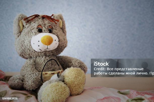 Soft Cat Stock Photo - Download Image Now - Horizontal, No People, Photography