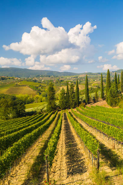 istock Tuscany landscape, Italy 1049887420