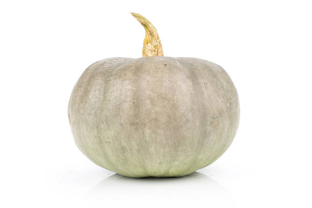 istock Fresh blue grey pumpkin nagy dobosi isolated on white 1049891888