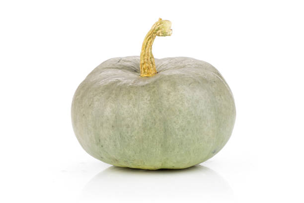 istock Fresh blue grey pumpkin nagy dobosi isolated on white 1049891898