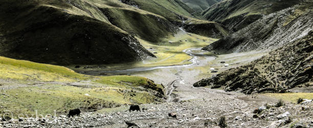 nomads vally w tar - kappes zdjęcia i obrazy z banku zdjęć