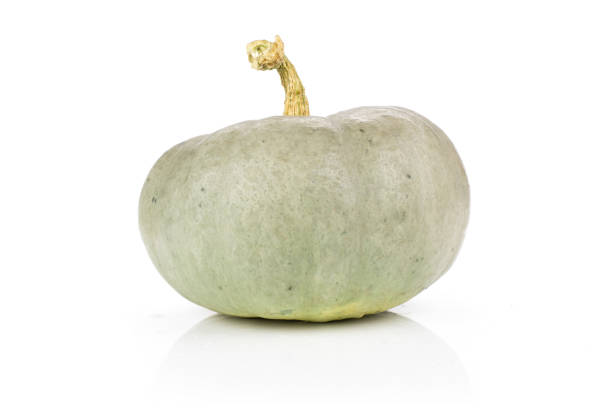 istock Fresh blue grey pumpkin nagy dobosi isolated on white 1049891922