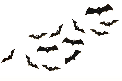 Halloween and decoration concept. Cute smiling black paper bats flying over white background. Halloween background.