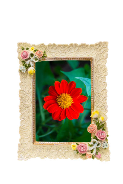 istock photo frame with rose texture around border isolated on white and inside with a red flower photo 1049904800