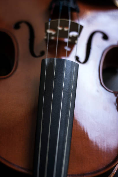 istock Close up shot of a violin 1049907104