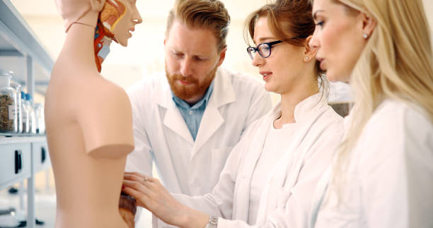 istock Students of medicine examining anatomical model in classroom 1049914048