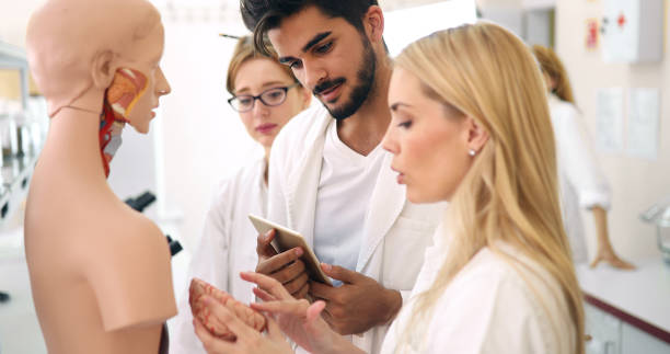istock Students of medicine examining anatomical model in classroom 1049914068