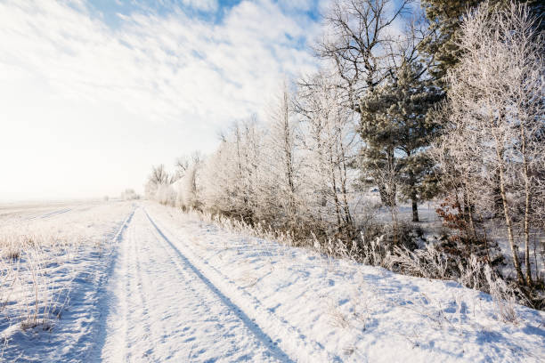 istock Winter rural road in the snow 1049919618
