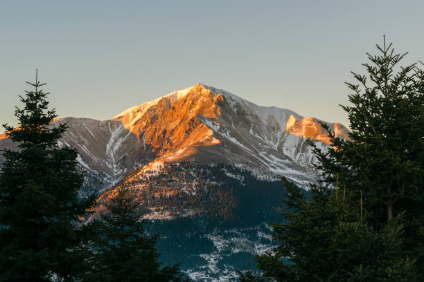 istock Mountain peak at sunset with fir trees in foreground and snow 1049922486