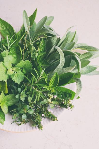 istock Fresh spicy and medicinal herbs on white background. Bouquet from various herb - rosemary, oregano, sage, marjoram, basil, thyme, mint. 1049931938