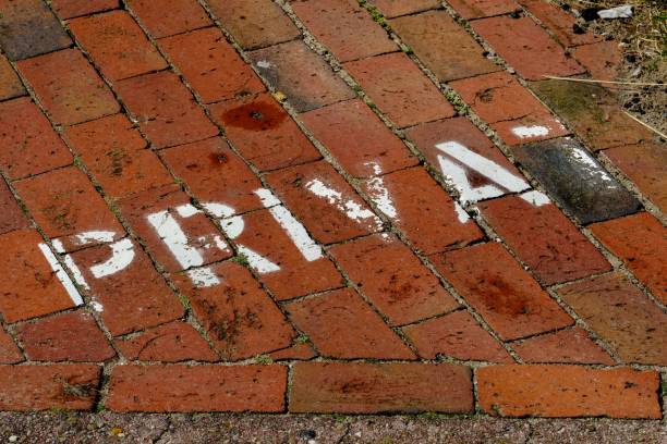 istock Private road. White letters on Dutch clinker. 1049938368